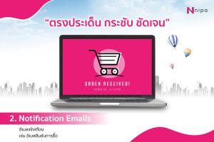 Email Marketing Notification Emails